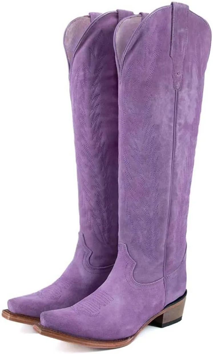 Cowboy Boots for Women Knee High Cowgirl Boots with Classic Embroidered Side Zipper Pointed Toe Chunky Heel Pull On Fashion Retro Tall Boot